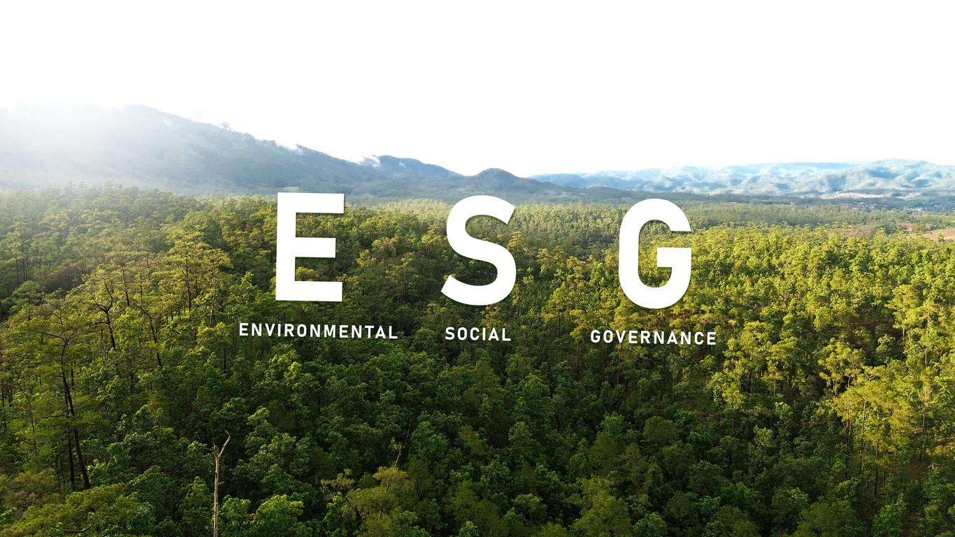 ESG Management