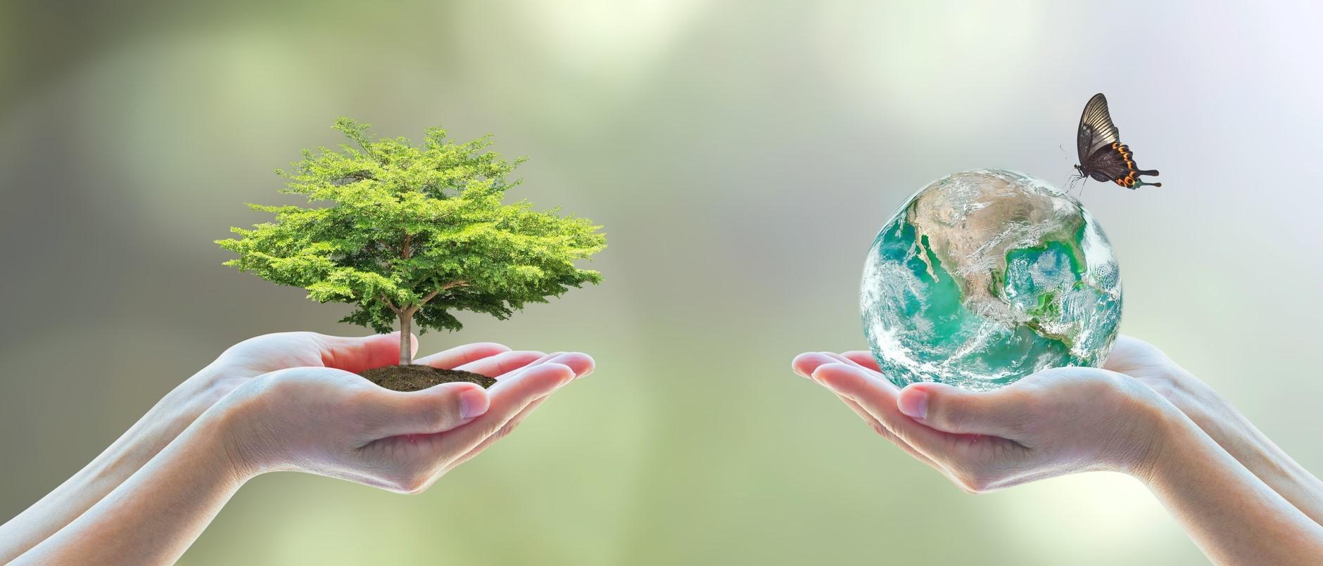 Environmental Sustainability